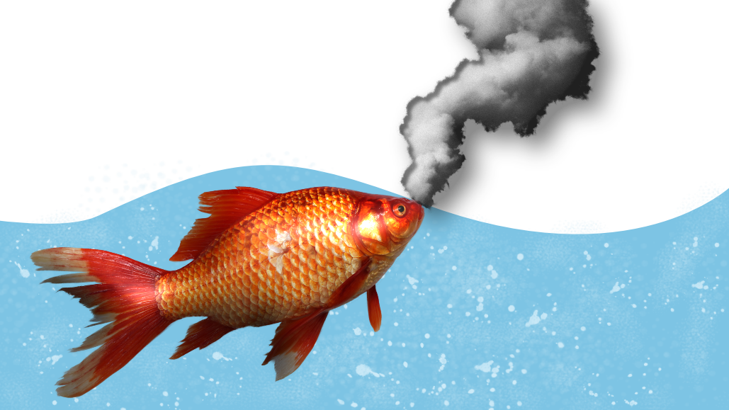 ¿Que relación tiene la contaminación atmosférica y el pescado?