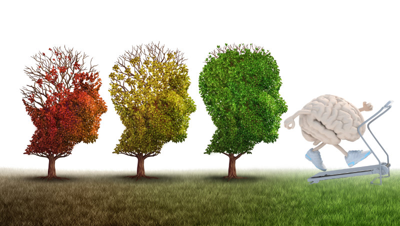 Tres arboles en forma de cabeza perdiendo hojas con un cerebro corriendo en una cinta