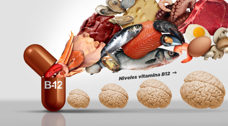 Vitamina B12 y envejecimiento cerebral